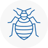 Bed Bug Extermination In East Dereham