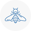 Bee Nest Removal East Dereham