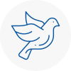 Bird Prevention East Dereham