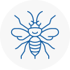 East Dereham Hornet Nest Removals