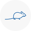 Mice Exterminators In East Dereham