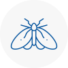 Moth Control Specialists In East Dereham