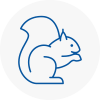 East Dereham Rodent Removals